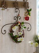 Wreath of Helleborus (Christmas rose), Cornus (dogwood), Ilex (holly)