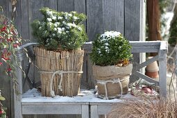 Gartenhäuschen im Winter