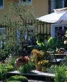 Wooden terrace with potted plants and parasol