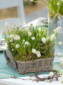 White spring flowers and herbs as table decoration