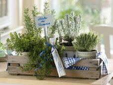 Wooden basket with herbs of Provence in pots