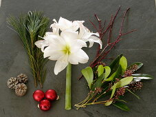 Ingredient style for Christmas bouquet with Hippeastrum 'Picotee'