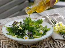 Salad with wild herbs, bellis, primula