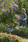 Girl with bouquet of Aquilegia (columbine) and Syringa (lilac)