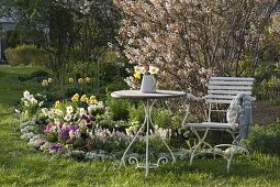 Tisch und Stuhl am Frühlingsbeet mit Amelanchier (Felsenbirne), Tiarella