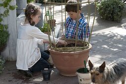 Children sowing fire beans in terracotta pots