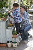 Sowing with children on the terrace