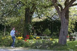 Spring bed under large trees