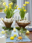 Ostrich eggs in wicker baskets, put in pots of birch bark