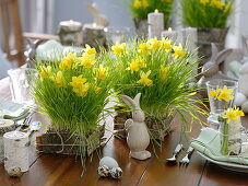 Table decoration with wheat grass, daffodils and birch