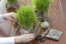 Table decoration with wheatgrass, daffodil and birch