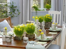 Table decoration with wheat grass, daffodils and birch tree