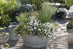 White planted tin pan