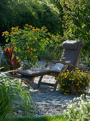 Liegestuhl auf kleiner, gepflasterter Terrasse, Cassia (Gewürzrinde), Canna