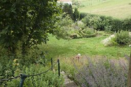 Hanggarten: kleine Treppe zwischen Staudenbeeten mit Nepeta
