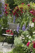 Rose 'Flaming Dance' (climbing rose), Delphinium (Larkspur)