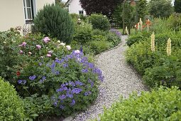 Gravel path between perennial beds