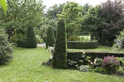 Formal garden with clipped Taxus baccata (yews)