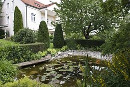 Pond with Nymphaea (water lilies), wooden footbridge and gravel, Alchemilla