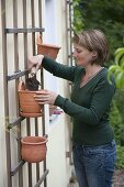 Wall - Planting hanging pots made of terracotta (2/4)
