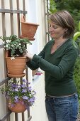 Wall - Planting hanging pots in terracotta (3/4)