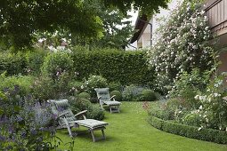 Rosa (climbing rose) at the house, curved perennial bed with Buxus