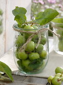 Green apples (malus) in preserving jar, decorated with plucked twine