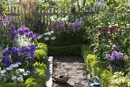 Farm garden with flowering perennials and summer flowers