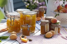 Process freshly harvested apricots