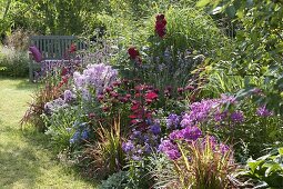 Sommerbeet mit Monarda 'Cambridge Scarlet' (Indianernessel), Phlox