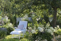 White lounger under the apple tree, bed with hydrangea