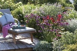 Terrassenbeet mit Echinacea 'Magnus', 'Rubinstern', 'White Swan'
