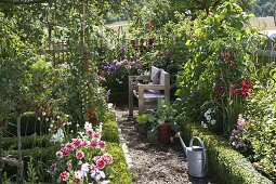 Seating in the cottage garden