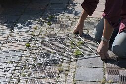 Assemble and fill your own gabions (4/9)