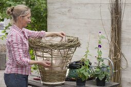 Make your own wicker basket for climbing plants (13/17)