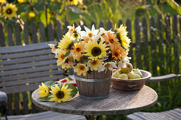 Strauß aus Helianthus (Sonnenblumen) und Dahlia (Dahlien) in Holzkübel