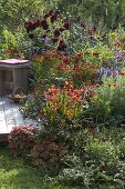 Red bed on wooden deck with dahlias and perennials