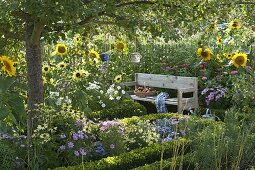Farm garden with summer flowers and perennials under the apple tree