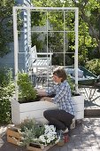 Mobile screen with climbing snapdragon and petunias