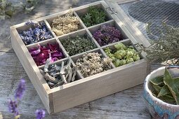 Wooden box with smoked herbs