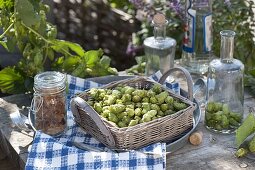 Hopfenlikör mit Wodka ansetzen