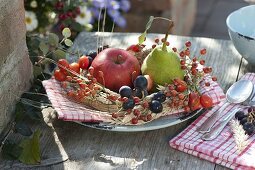 Small harvest wreath of Rosa (rose hips), wheat (Triticum), barley