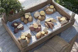 Various potato varieties as tableau with label and cut open