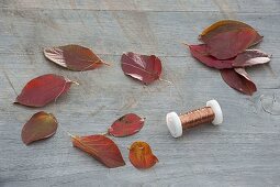 Garland of red autumn leaves (3/4)