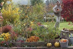 Herbstliches Terrassenbeet mit Einfasssungen aus Weidengeflecht