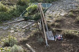 Cut back the perennial flowerbed in autumn