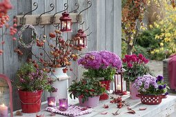 Autumn arrangement in enamelled containers on the patio table