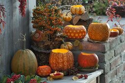 Arrangement aus dekorativ geschnitzten Kürbissen (Cucurbita)