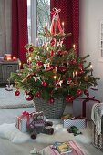 Living Nordmann fir decorated in red and white