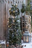 Rankstele weihnachtlich geschmückt mit Zweigen von Picea omorica